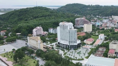 Hải Phòng thu hồi đất của Tập đoàn Nam Cường Hà Nội vì vi phạm pháp luật