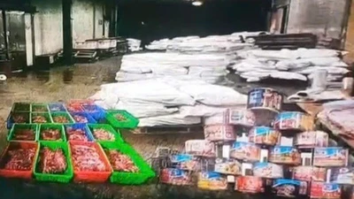 Khởi tố vụ 120 tấn thịt lợn nhiễm bệnh đưa vào Công ty đồ hộp Hạ Long