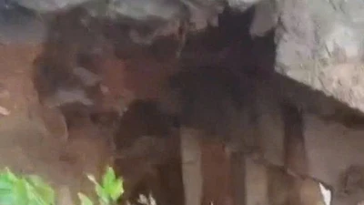 Cấm người và phương tiện qua cầu Giang Sơn ở Đắk Lắk do sạt lở nghiêm trọng