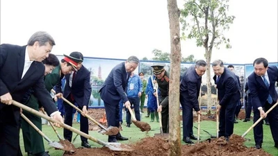 Tổng Bí thư Tô Lâm dự Lễ phát động Tết trồng cây tại Hà Nội