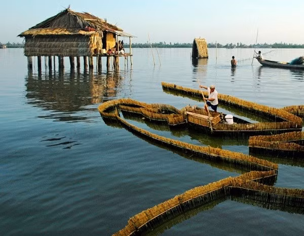 dam-thi-tuong-3.jpg