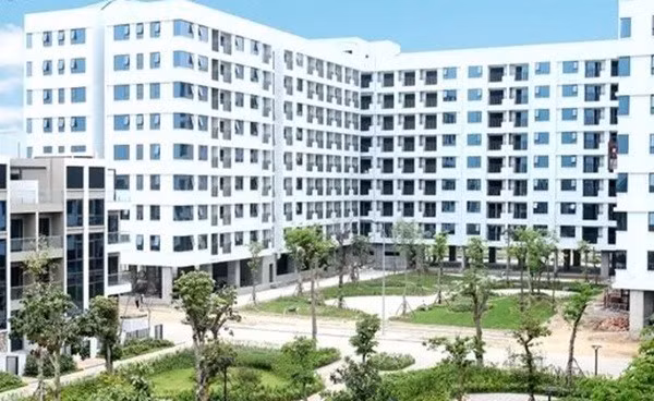 dong-thap-3.jpg