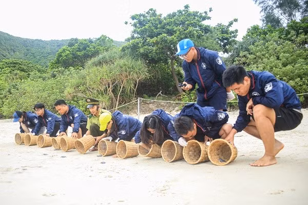 con-dao-1.jpg