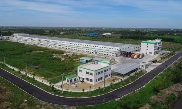 kcn-tran-anh-1.jpg