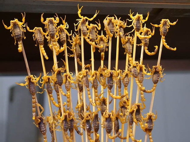 Những món ăn kinh dị nhất hành tinh, nhìn là phát hoảng - Hình 12 Nhung mon an kinh di nhat hanh tinh, nhin la phat hoang-Hinh-12