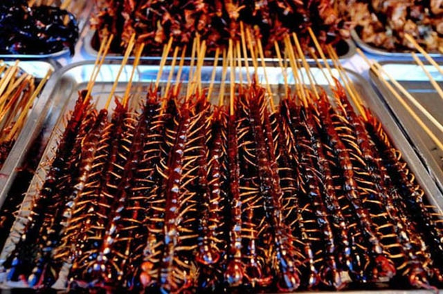 Những món ăn kinh dị nhất hành tinh, nhìn là phát hoảng - Hình 2 Nhung mon an kinh di nhat hanh tinh, nhin la phat hoang-Hinh-2