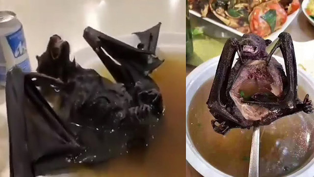 Những món ăn kinh dị nhất hành tinh, nhìn là phát hoảng - Hình 4 Nhung mon an kinh di nhat hanh tinh, nhin la phat hoang-Hinh-4