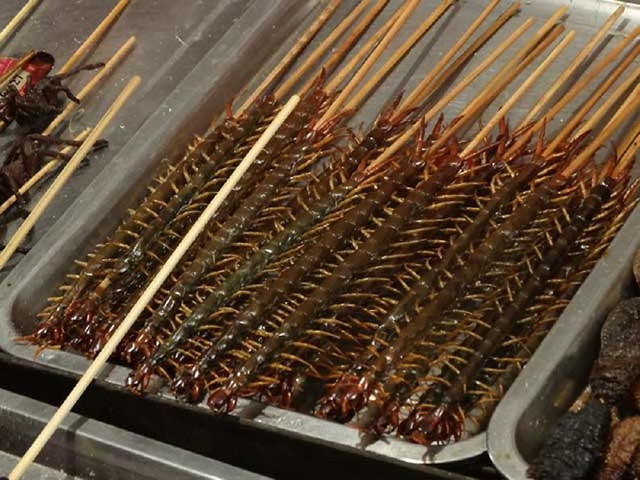 Những món ăn kinh dị nhất hành tinh, nhìn là phát hoảng Nhung mon an kinh di nhat hanh tinh, nhin la phat hoang