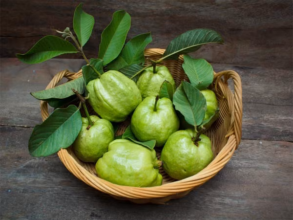 La oi co tac dung cuc tot cho suc khoe it nguoi biet-Hinh-10