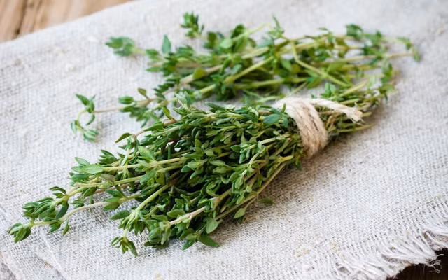Kinh ngạc loại thảo mộc là “khắc tinh” của ung thư - Hình 5 Kinh ngac loai thao moc la “khac tinh” cua ung thu-Hinh-5