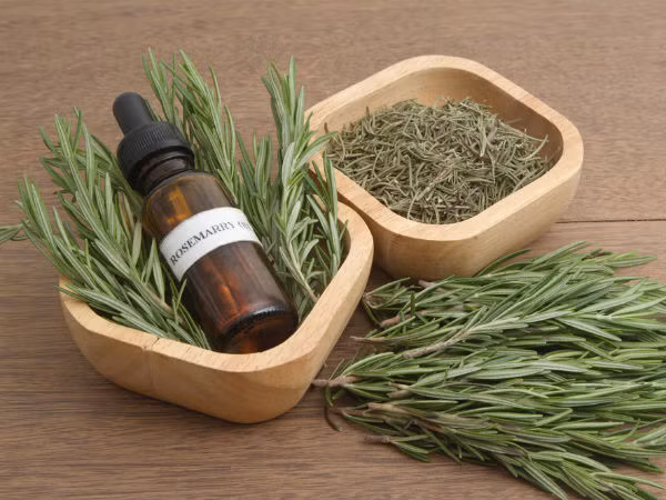 Kinh ngạc loại thảo mộc là “khắc tinh” của ung thư - Hình 7 Kinh ngac loai thao moc la “khac tinh” cua ung thu-Hinh-7