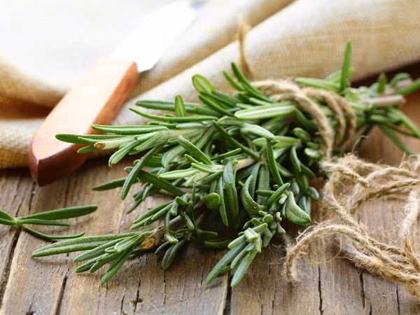 Kinh ngạc loại thảo mộc là “khắc tinh” của ung thư - Hình 3 Kinh ngac loai thao moc la “khac tinh” cua ung thu-Hinh-3