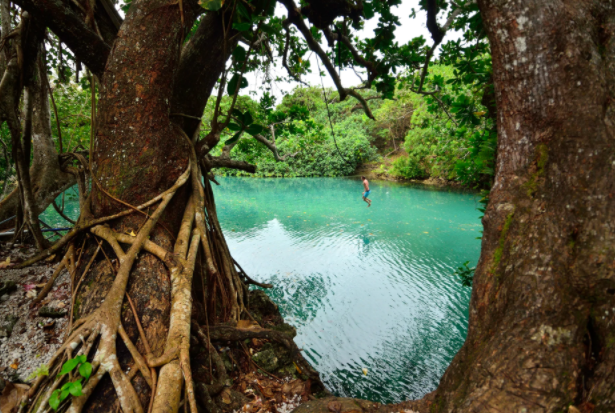 Quốc đảo Vanuatu có nền văn hoá đa dạng nhất thế giới - Hình 11 Quoc dao Vanuatu co nen van hoa da dang nhat the gioi-Hinh-11