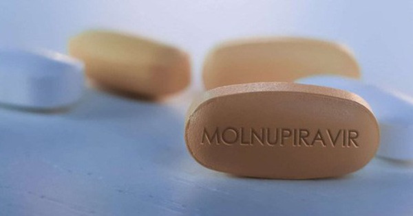 Thuốc Molnupiravir hiệu quả với mọi biến chủng COVID-19 sắp được cấp phép? - Hình 8 Thuoc Molnupiravir hieu qua voi moi bien chung COVID-19 sap duoc cap phep?-Hinh-8