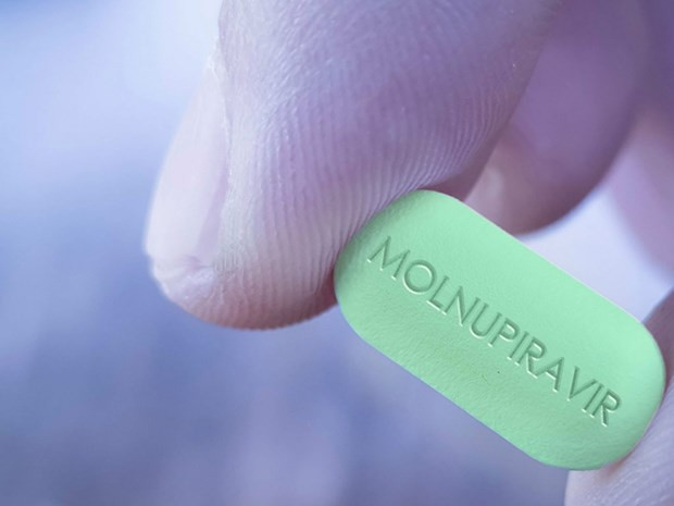 Thuốc Molnupiravir hiệu quả với mọi biến chủng COVID-19 sắp được cấp phép? - Hình 6 Thuoc Molnupiravir hieu qua voi moi bien chung COVID-19 sap duoc cap phep?-Hinh-6