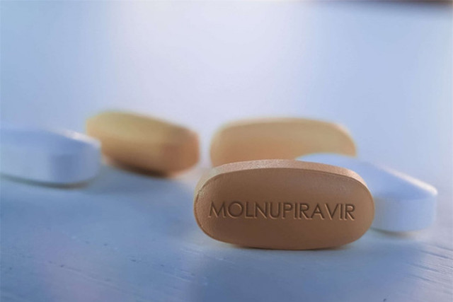 Thuốc Molnupiravir hiệu quả với mọi biến chủng COVID-19 sắp được cấp phép? - Hình 5 Thuoc Molnupiravir hieu qua voi moi bien chung COVID-19 sap duoc cap phep?-Hinh-5