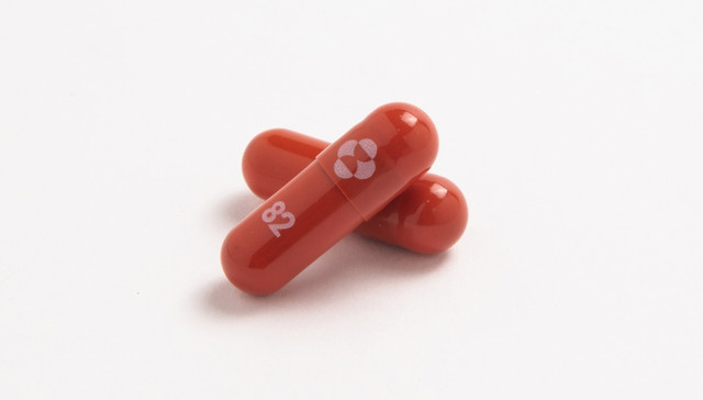 Thuốc Molnupiravir hiệu quả với mọi biến chủng COVID-19 sắp được cấp phép? - Hình 3 Thuoc Molnupiravir hieu qua voi moi bien chung COVID-19 sap duoc cap phep?-Hinh-3