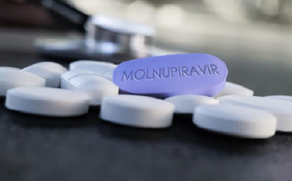Thuốc Molnupiravir hiệu quả với mọi biến chủng COVID-19 sắp được cấp phép? - Hình 9 Thuoc Molnupiravir hieu qua voi moi bien chung COVID-19 sap duoc cap phep?-Hinh-9