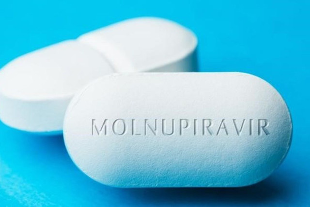 Thuốc Molnupiravir hiệu quả với mọi biến chủng COVID-19 sắp được cấp phép? - Hình 4 Thuoc Molnupiravir hieu qua voi moi bien chung COVID-19 sap duoc cap phep?-Hinh-4