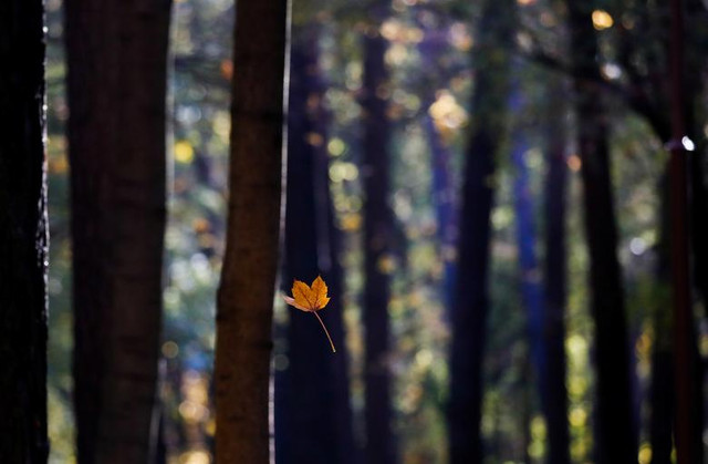 Những thời khắc giao mùa tuyệt đẹp ở khắp nơi trên thế giới - Hình 5 Nhung thoi khac giao mua tuyet dep o khap noi tren the gioi-Hinh-5