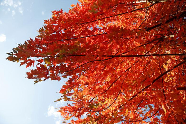 Những thời khắc giao mùa tuyệt đẹp ở khắp nơi trên thế giới - Hình 6 Nhung thoi khac giao mua tuyet dep o khap noi tren the gioi-Hinh-6