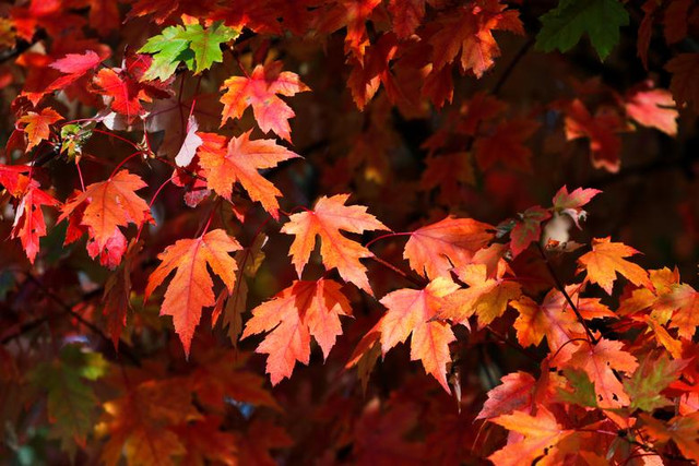 Những thời khắc giao mùa tuyệt đẹp ở khắp nơi trên thế giới - Hình 13 Nhung thoi khac giao mua tuyet dep o khap noi tren the gioi-Hinh-13