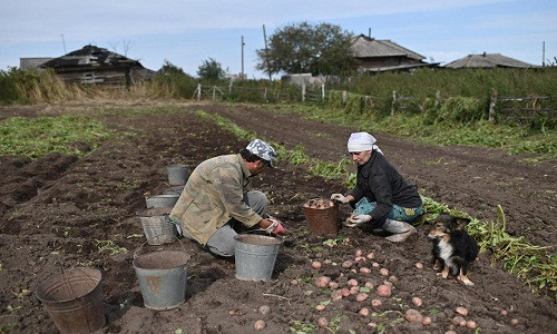 Ngôi làng hẻo lánh ở Nga chỉ có 1 học sinh duy nhất - Hình 3 Ngoi lang heo lanh o Nga chi co 1 hoc sinh duy nhat-Hinh-3