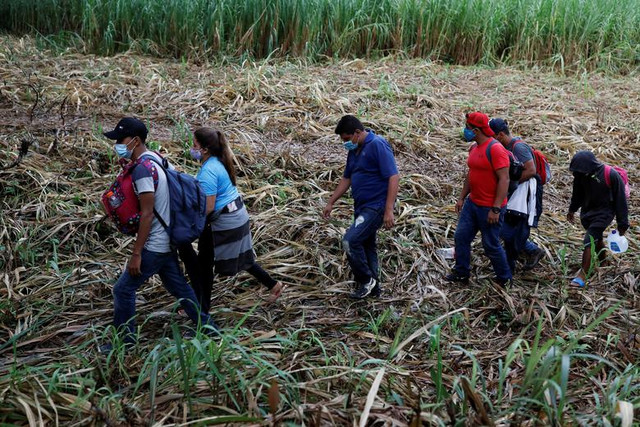 Hàng nghìn người di cư vạ vật tới Mỹ giữa “bão” COVID-19 - Hình 11 Hang nghin nguoi di cu va vat toi My giua “bao” COVID-19-Hinh-11