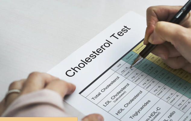 Quả bơ giúp chị em giảm cân như thế nào mà được săn mua? - Hình 9 Qua bo giup chi em giam can nhu the nao ma duoc san mua?-Hinh-9