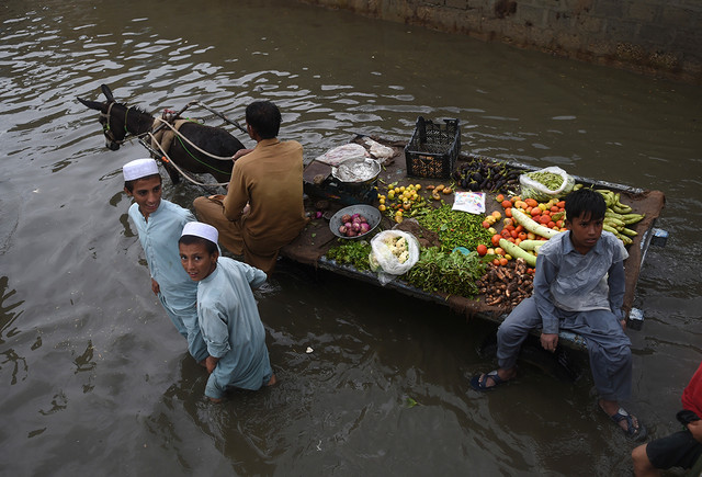 Tận mục cuộc sống người dân Pakistan khốn khổ vì mưa lớn - Hình 9 Tan muc cuoc song nguoi dan Pakistan khon kho vi mua lon-Hinh-9