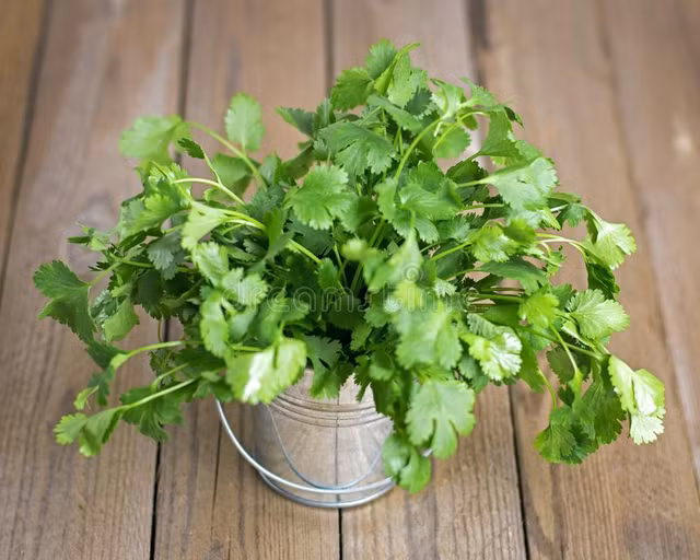 Loai rau ban day cho cuc tot cho suc khoe-Hinh-4