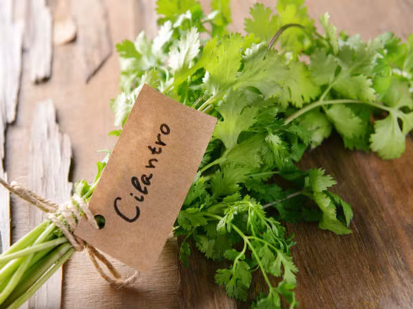 Loai rau ban day cho cuc tot cho suc khoe-Hinh-8