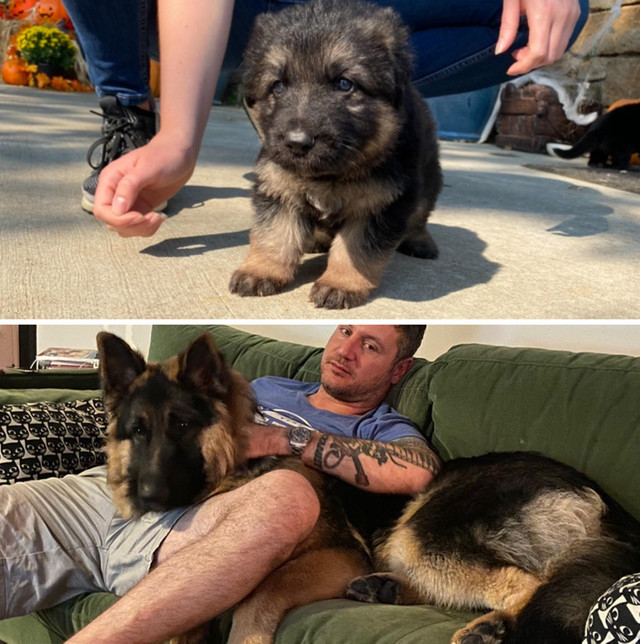 Loạt khoảnh khắc bất ngờ thú vị trong cuộc sống - Hình 6 Loat khoanh khac bat ngo thu vi trong cuoc song-Hinh-6