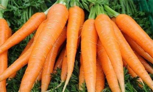 Những thực phẩm phụ nữ trên 30 tuổi nên ăn nhiều để xoá nếp nhăn Nhung thuc pham phu nu tren 30 tuoi nen an nhieu de xoa nep nhan