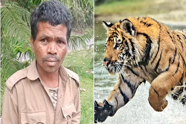 Kinh hoang nhan vien so thu bi ho vo chet khi dang lam viec