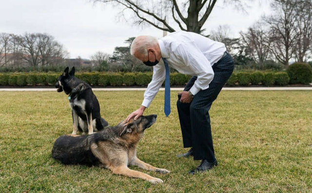Tò mò một ngày của Tổng thống Mỹ Joe Biden - Hình 7 To mo mot ngay cua Tong thong My Joe Biden-Hinh-7