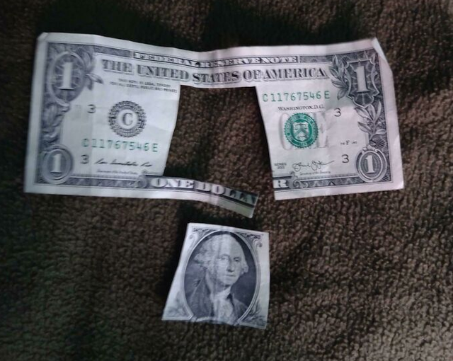 Những đứa trẻ siêu nghịch ngợm khiến phụ huynh 'tăng xông' - Hình 7 Nhung dua tre sieu nghich ngom khien phu huynh 'tang xong'-Hinh-7