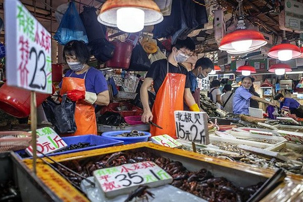 Chuyên gia cảnh báo đại dịch mới tiềm ẩn bùng phát Chuyen gia canh bao dai dich moi tiem an bung phat