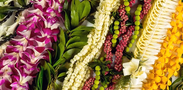 Dieu thu vi o bang hanh phuc nhat nuoc My nam 2020-Hinh-3