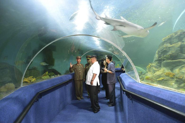 Chùm ảnh về các hoạt động của Chủ tịch Triều Tiên Kim Jong-un - Hình 13 Chum anh ve cac hoat dong cua Chu tich Trieu Tien Kim Jong-un-Hinh-13