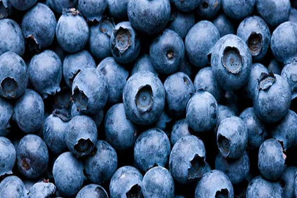 10 thực phẩm giúp tăng cường trí não cho sĩ tử mùa thi - Hình 3 10 thuc pham giup tang cuong tri nao cho si tu mua thi-Hinh-3