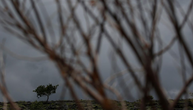 Hạn hán kéo dài khiến cư dân đảo ở Indonesia điêu đứng - Hình 2 Han han keo dai khien cu dan dao o Indonesia dieu dung-Hinh-2