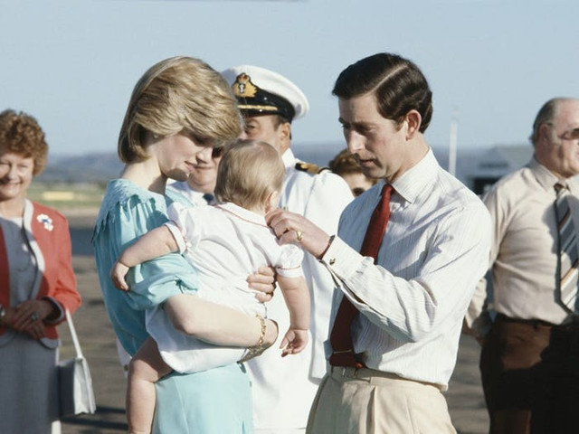 Cong nuong Diana va cach nuoi day con tuyet voi-Hinh-3