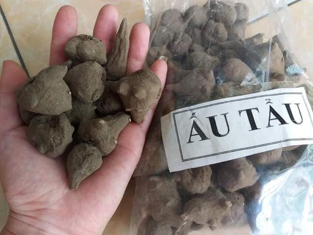 Vụ cá chép muối ủ chua: Loạt món lạ gây ngộ độc thực phẩm - Hình 10 Vu ca chep muoi u chua: Loat mon la gay ngo doc thuc pham-Hinh-10