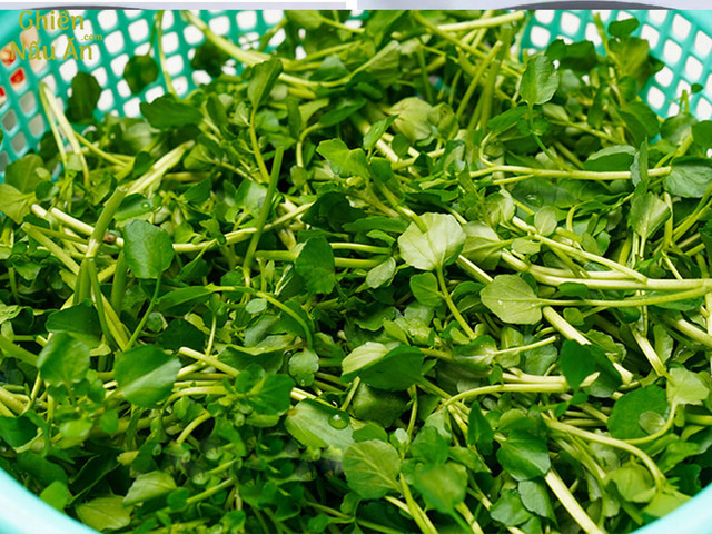 Tác dụng kinh ngạc của Cải xoong, có thể chống ung thư - Hình 7 Tac dung kinh ngac cua Cai xoong, co the chong ung thu-Hinh-7