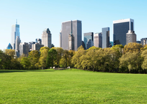 Vì sao New York được vinh danh là thành phố tốt nhất thế giới năm 2024? - Hình 2 Vi sao New York duoc vinh danh la thanh pho tot nhat the gioi nam 2024?-Hinh-2