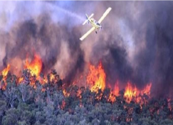 Nhìn lại 5 vụ cháy rừng kinh hoàng nhất lịch sử thế giới - Hình 4 Nhin lai 5 vu chay rung kinh hoang nhat lich su the gioi-Hinh-4