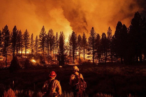 Cảnh cháy rừng dữ dội ở California lúc nắng nóng lịch sử - Hình 5 Canh chay rung du doi o California luc nang nong lich su-Hinh-5