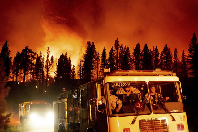 Cảnh cháy rừng dữ dội ở California lúc nắng nóng lịch sử - Hình 3 Canh chay rung du doi o California luc nang nong lich su-Hinh-3