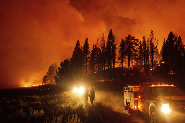 Cảnh cháy rừng dữ dội ở California lúc nắng nóng lịch sử - Hình 7 Canh chay rung du doi o California luc nang nong lich su-Hinh-7
